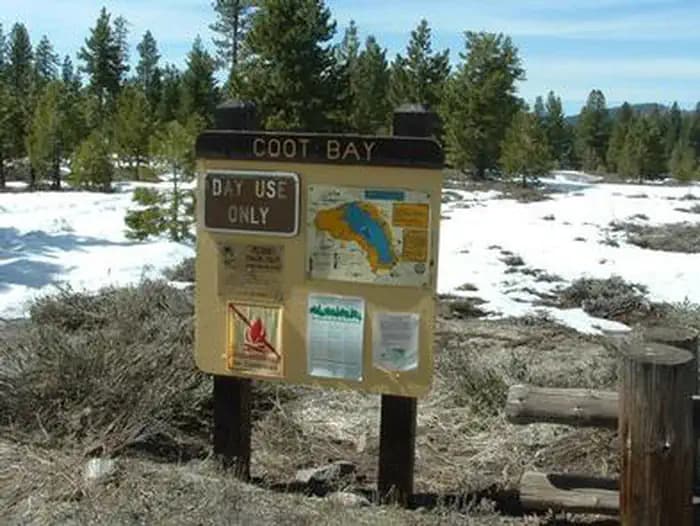 GRASSHOPPER FLAT photo 3