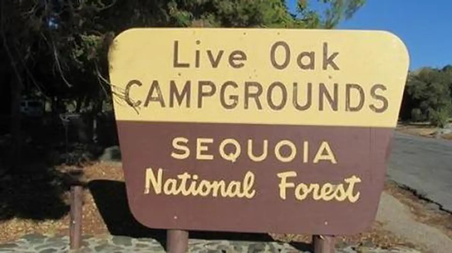 LIVE OAK campground