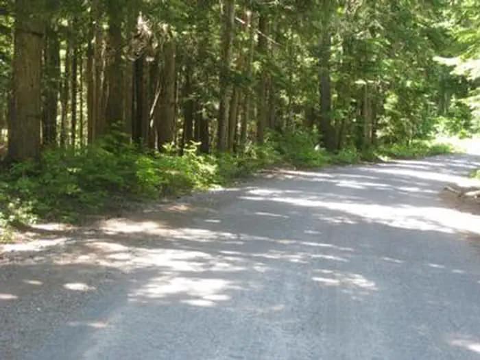 STILL CREEK campground