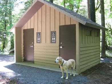 Paradise Creek campground campground