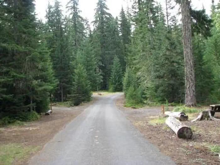 CLACKAMAS LAKE photo 2