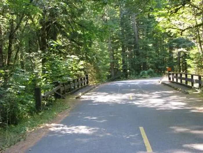 INDIAN HENRY photo 3