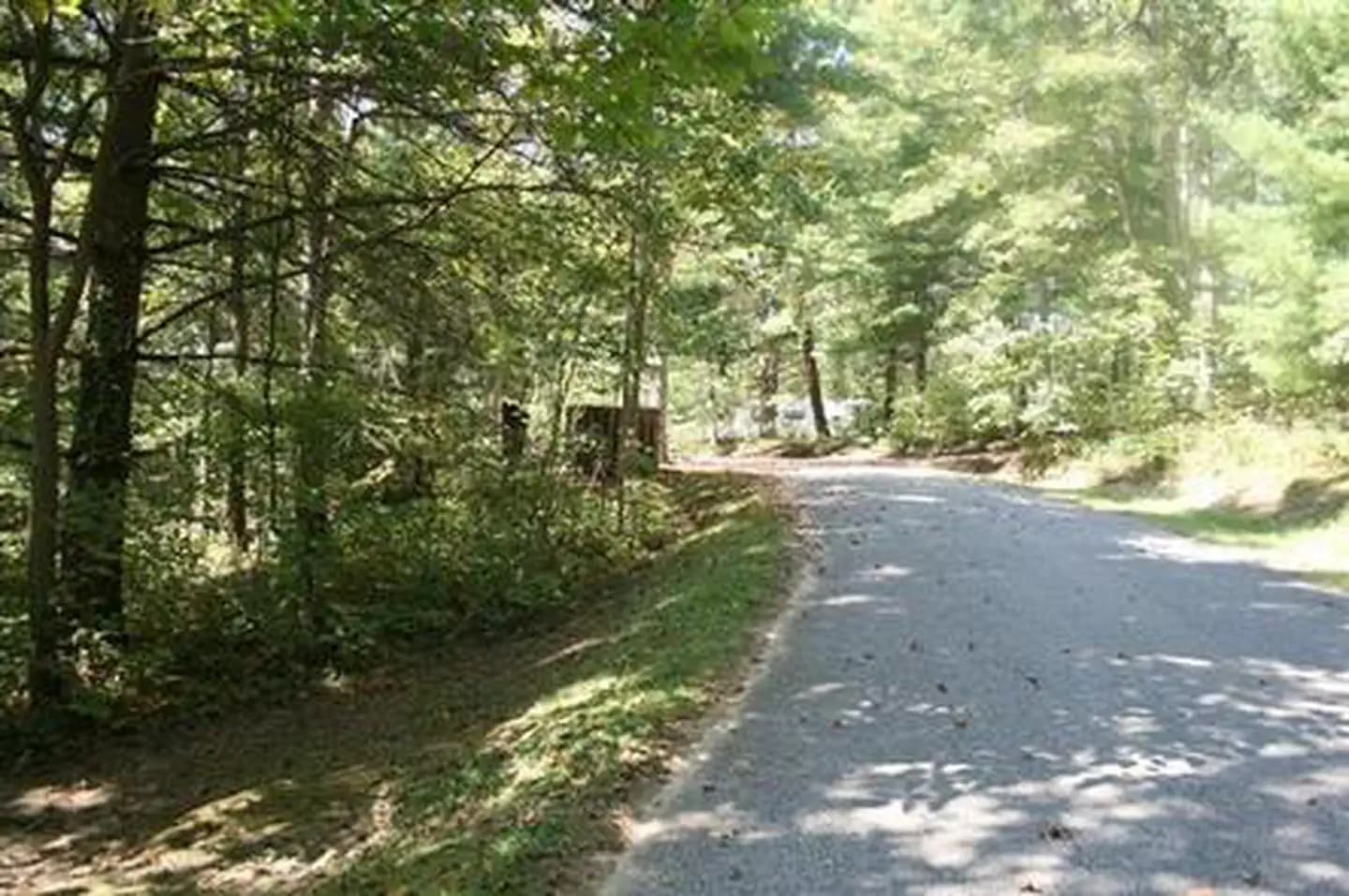 IRON RIDGE - LAKE VESUVIUS campground