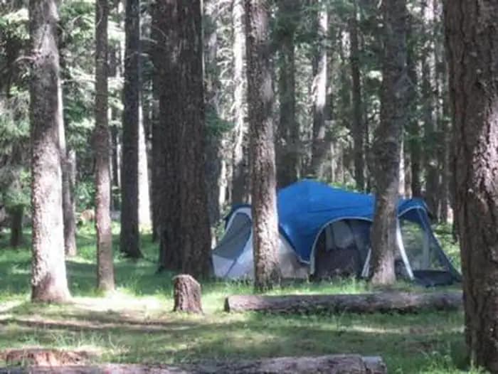 Indian Creek (WA) photo 2