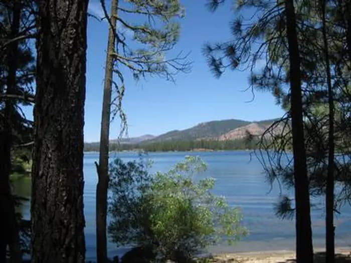 BOULDER CREEK (CA) photo 2