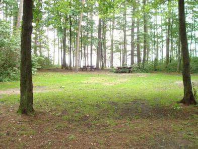 Winnie Campground - USFS campground