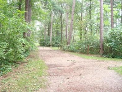 Winnie Campground - USFS photo 3