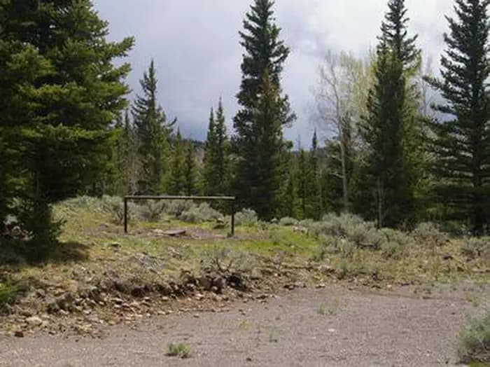 TASHA EQUESTRIAN photo 3