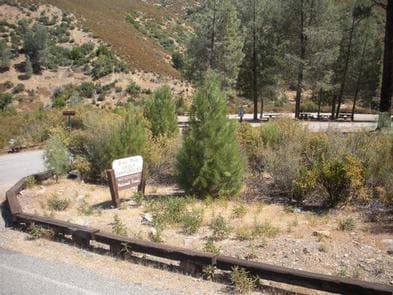 GRAY PINE GROUP CAMPGROUND photo 3