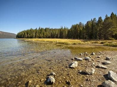 Paulina Lake Campground photo 3