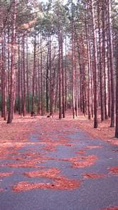 MONUMENT CAMPGROUND photo 3