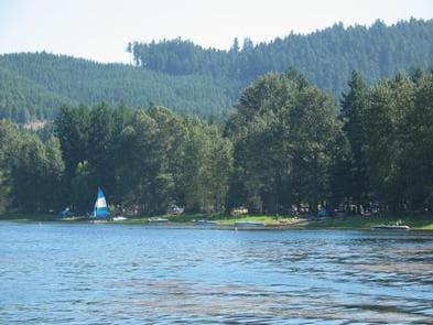 PINE MEADOWS CAMPGROUND photo 3