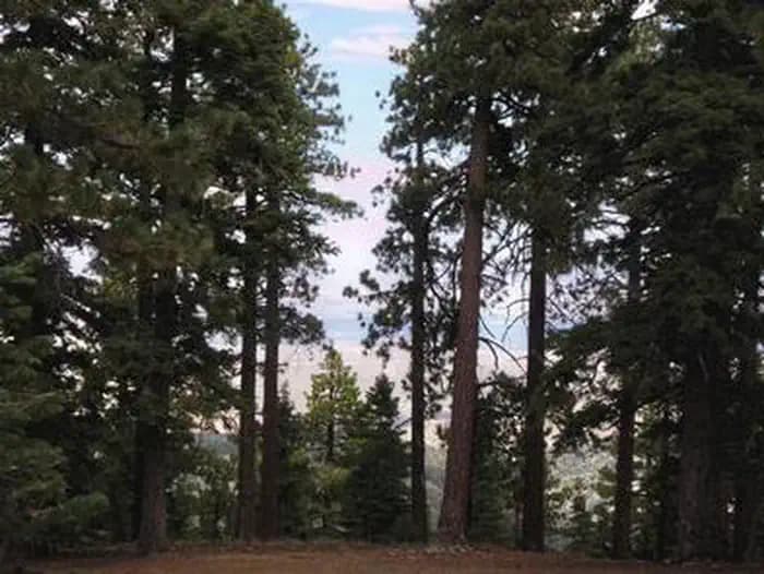 JACKSON FLATS campground