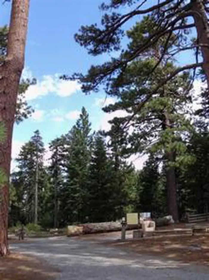 JACKSON FLATS photo 3