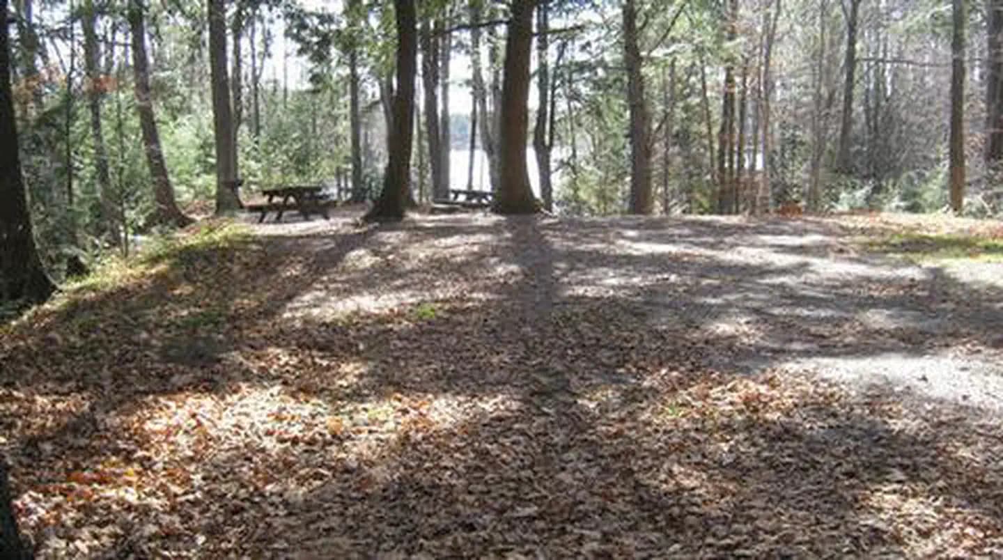 SPEARHEAD POINT photo 2