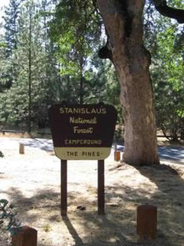 PINES GROUP STANISLAUS photo 3