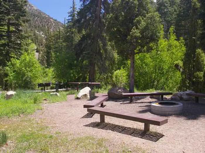 LITTLE BEAR GROUP photo 3