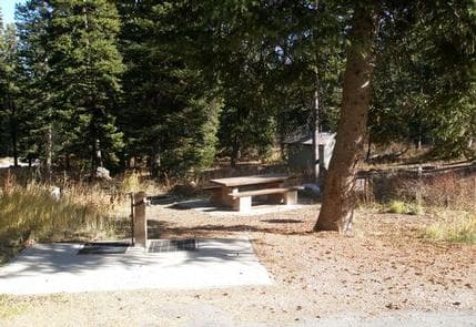 EMIGRATION CAMPGROUND photo 3