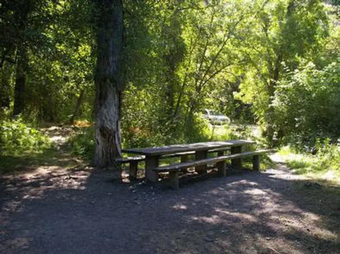 ALBERT MOSER photo 2