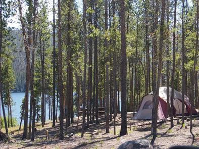 STANLEY LAKE CAMPGROUND photo 3