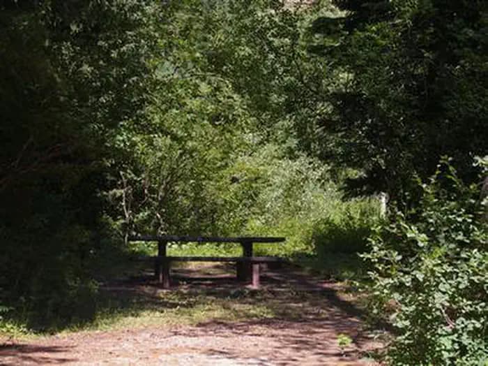 TRAIL CREEK campground