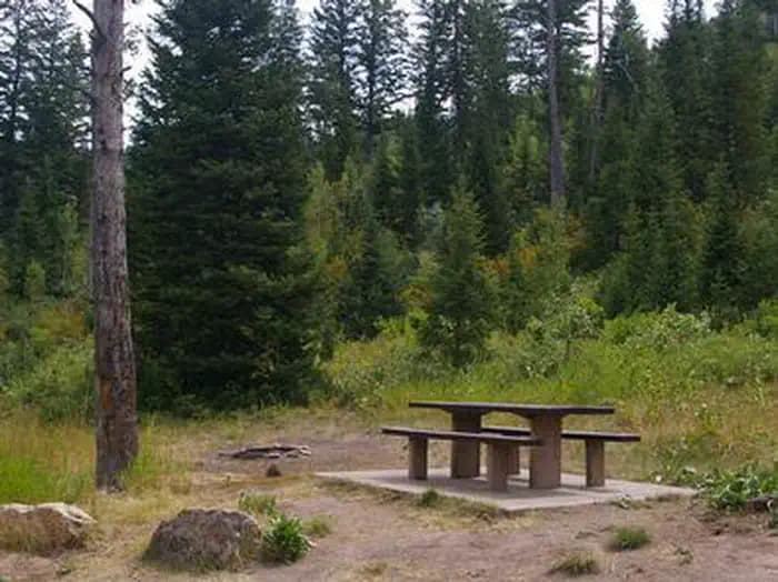 PORCUPINE (ID) photo 3