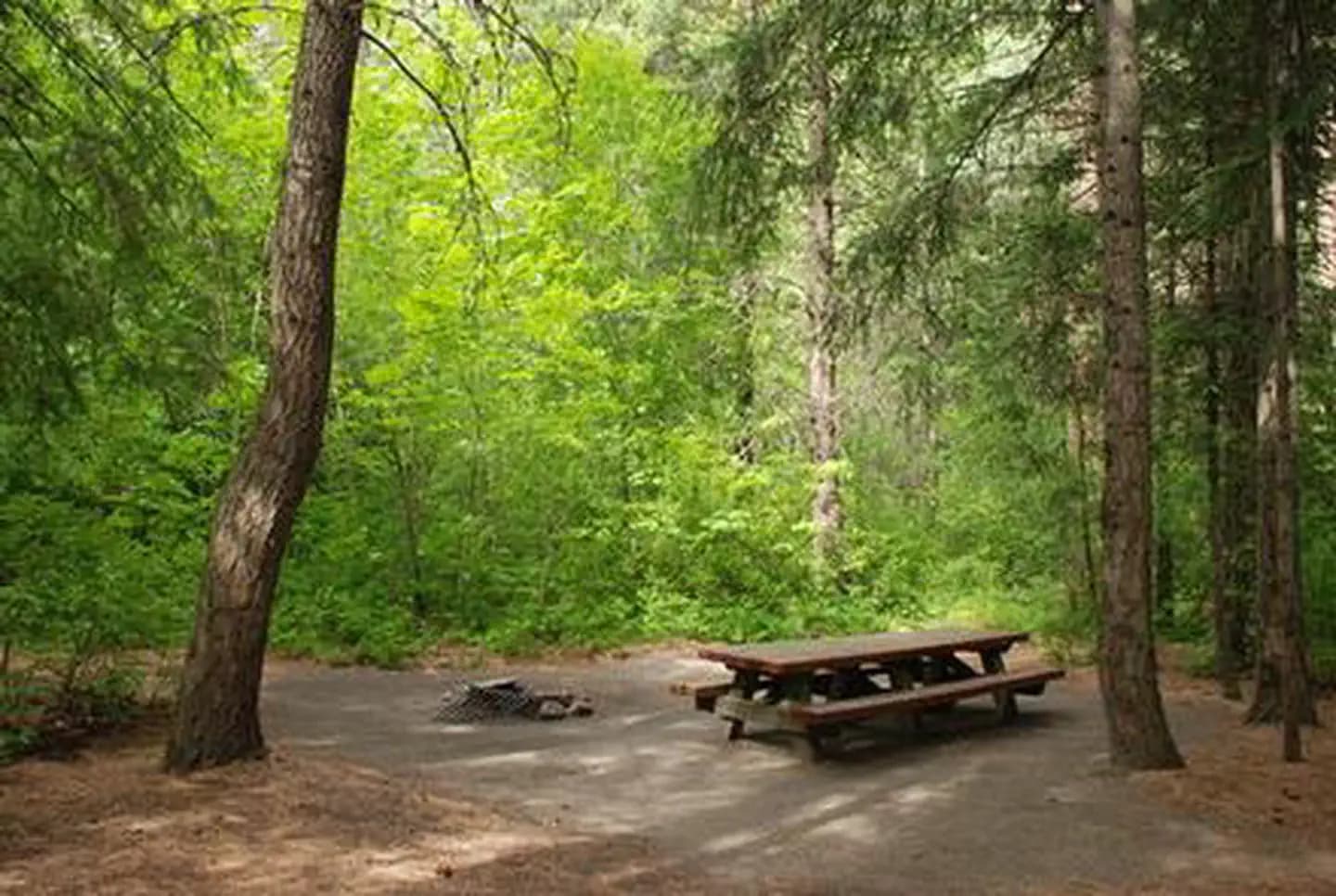 EIGHTMILE GROUP SITE campground