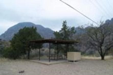 Chisos Basin Campground (Big Bend, TX) photo 3