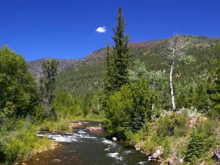 MINERS GULCH photo 3