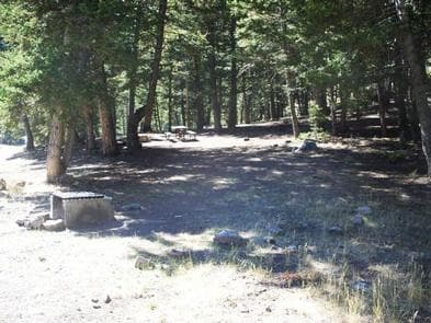 LORISTICA GROUP CAMPGROUND photo 3