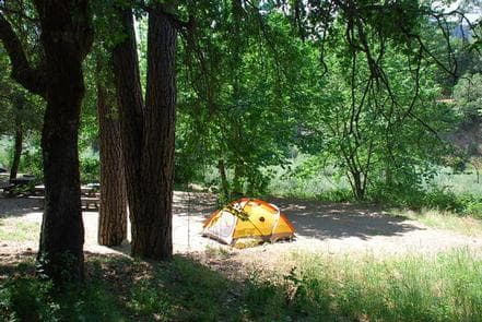 CURLY JACK CAMPGROUND photo 3