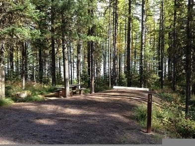 LID CREEK CAMPGROUND photo 3