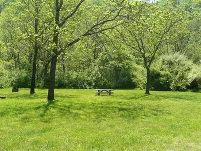 MCCLINTIC POINT photo 3