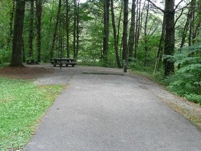 STONY FORK CAMPGROUND campground