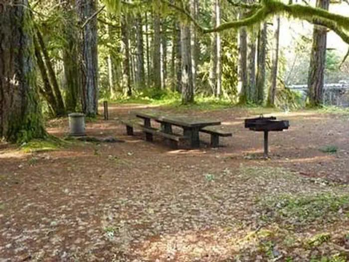 RUJADA DAY USE PICNIC AREA campground