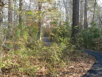 FLANNERS BEACH CAMPGROUND campground