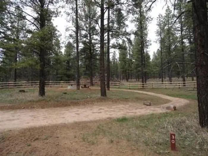 BUCKEYE RECREATION AREA (CO) photo 3