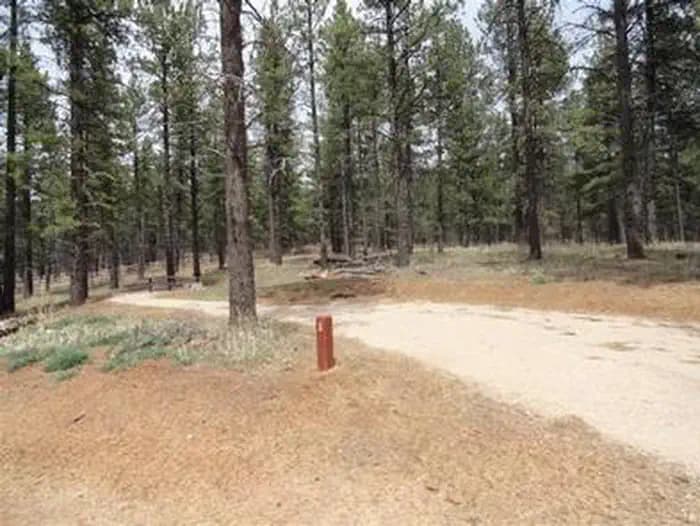 BUCKEYE RECREATION AREA (CO) photo 2