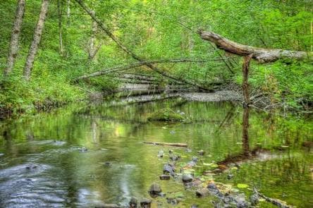 Oklahoma campground photo 3