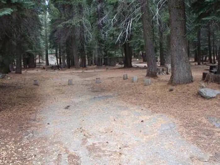 LOWER BILLY CREEK photo 3