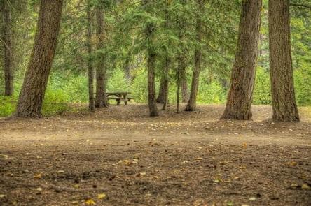 HELLS CROSSING CAMPGROUND photo 3