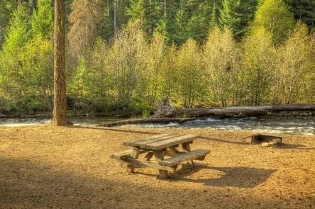 CEDAR SPRINGS CAMPGROUND (WA) photo 3