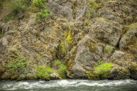 Willows Campground photo 3