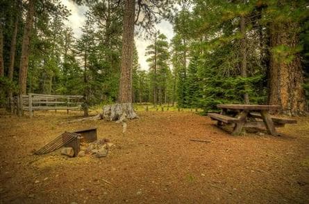 Whispering Pines Horse Camp photo 3