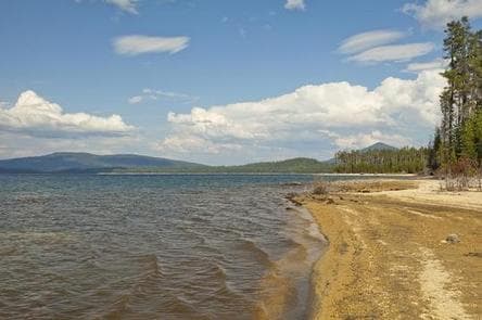 Contorta Flat Campground campground