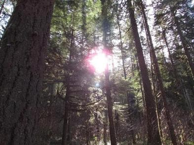 RUJADA CAMPGROUND photo 3