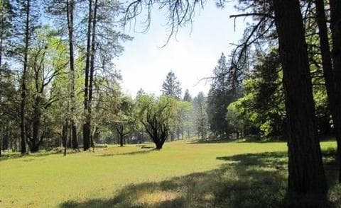 FLUMET FLAT GROUP CAMPGROUND campground