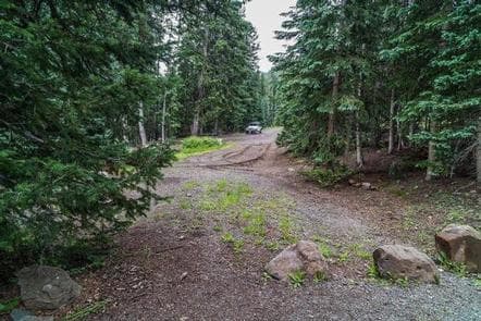 LeBaron Campground photo 3