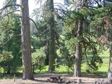 MASTERSON GROUP CAMPGROUND photo 3