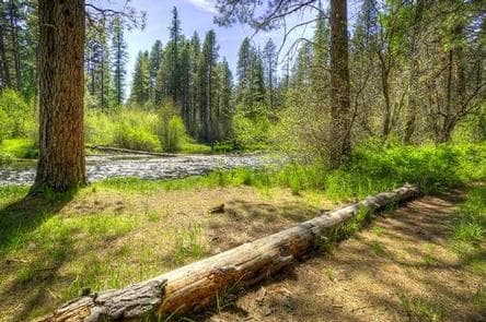 GORGE CAMPGROUND campground